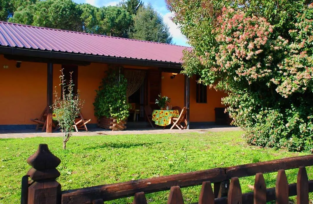 Azienda Agricola Armando Iacchelli-1